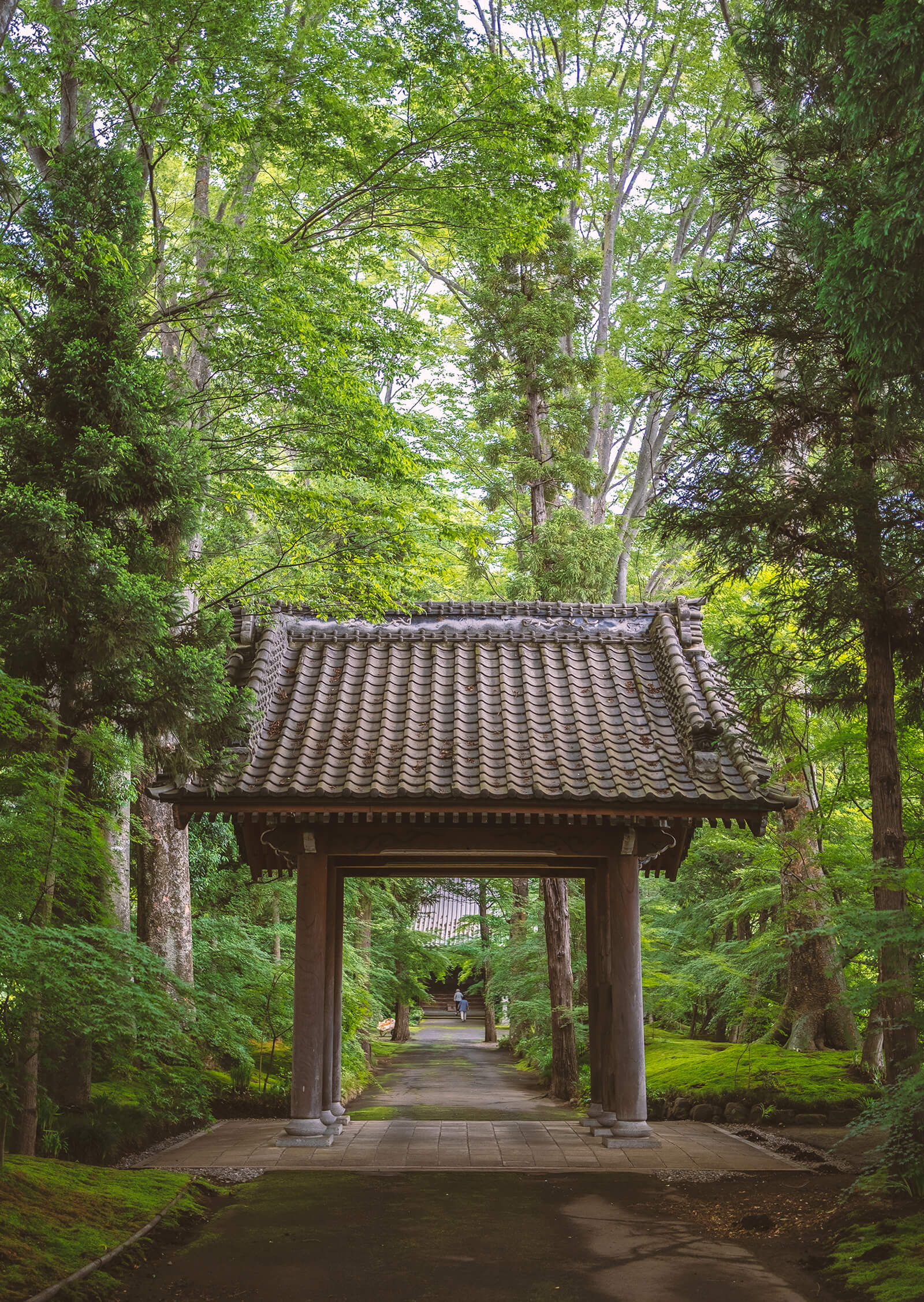 ochakai-ibaraki