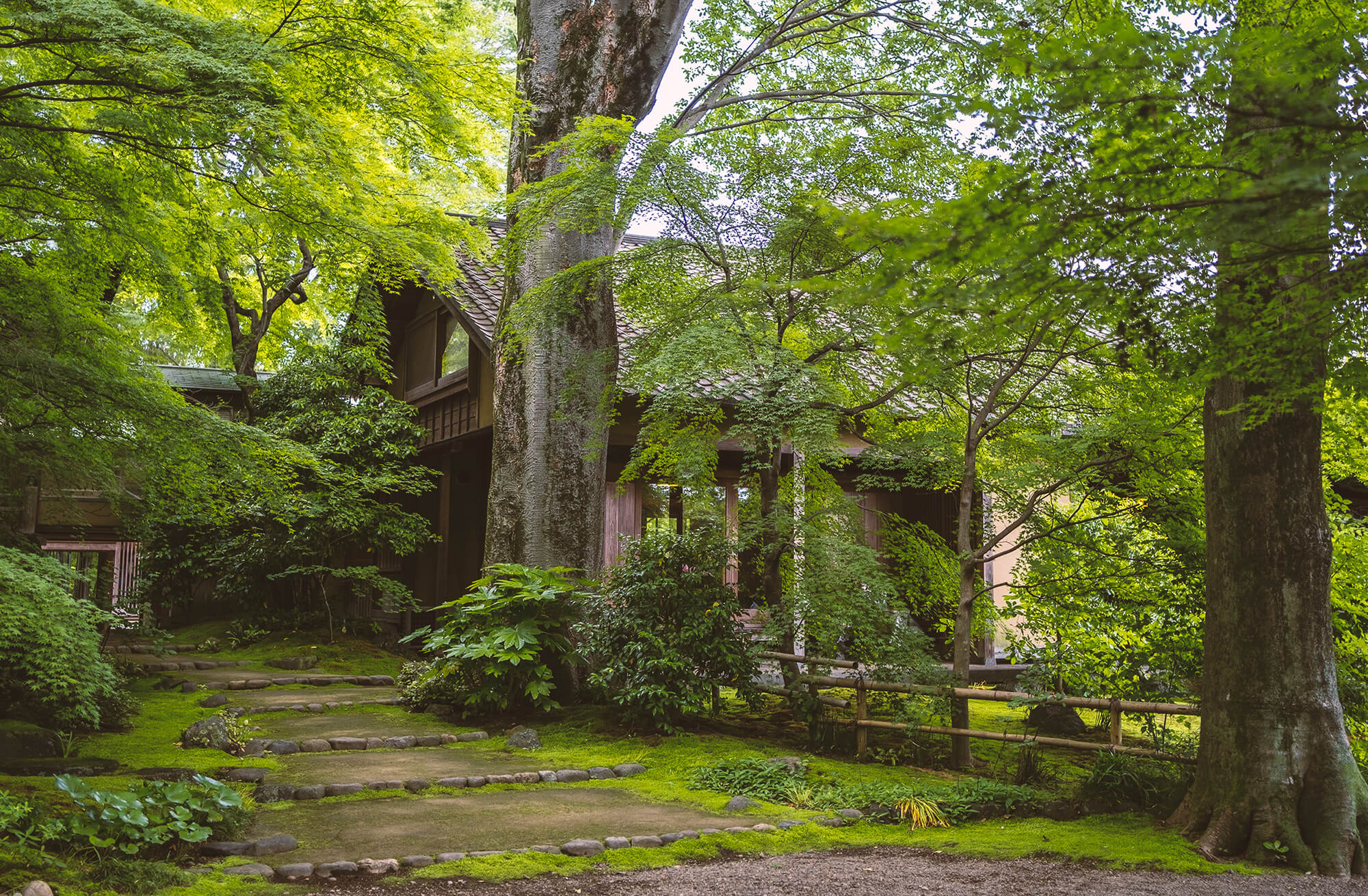 ochakai-ibaraki